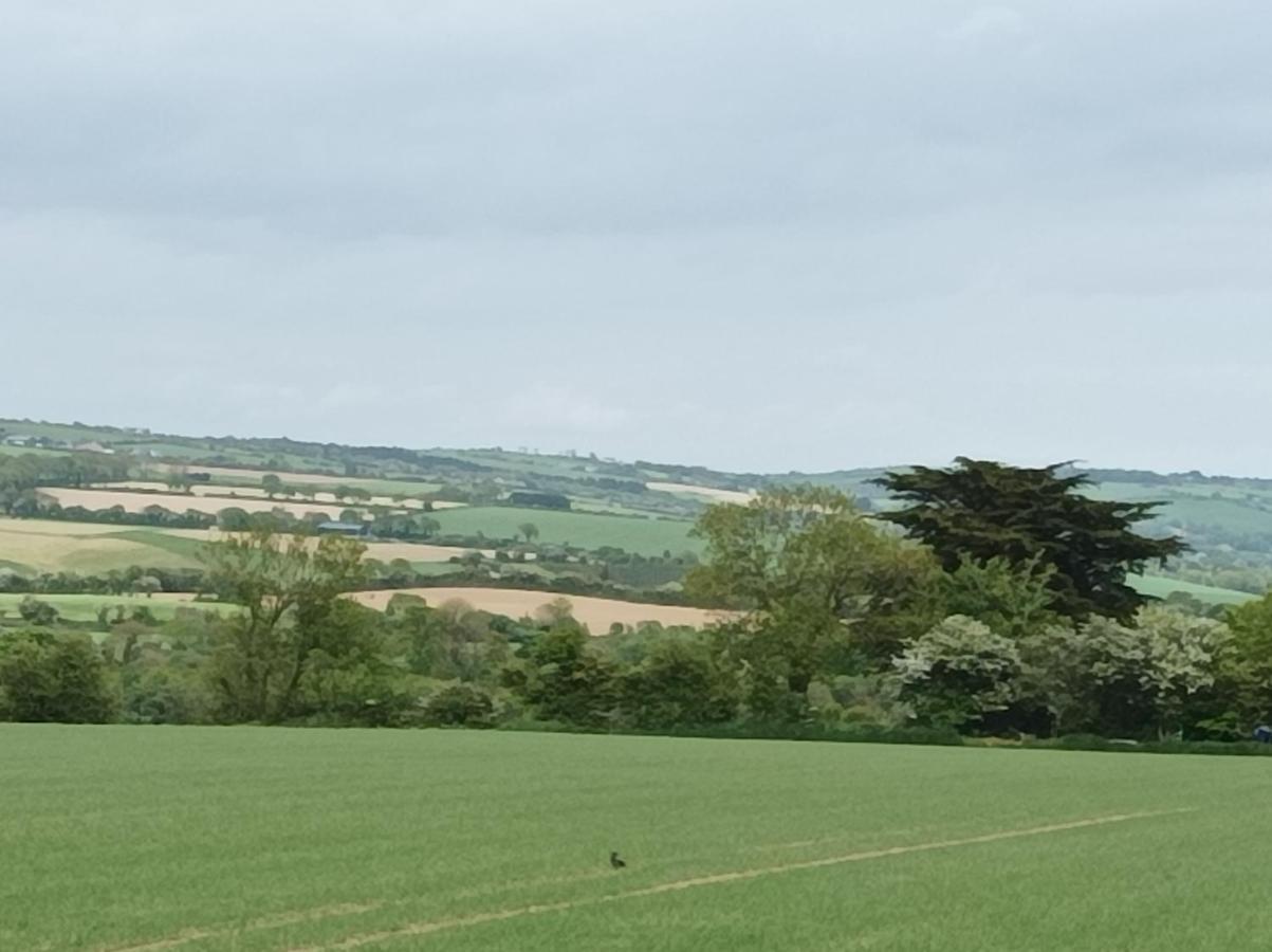 Ard Falcon Cork Esterno foto